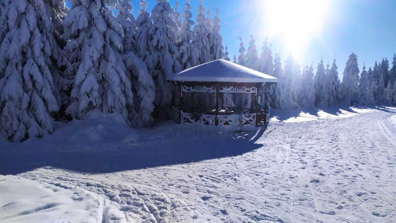 Chata Helena Loučná pod Klínovcem Esterno foto